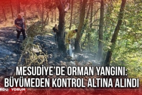 Mesudiye’de Orman Yangını: Büyümeden Kontrol Altına Alındı