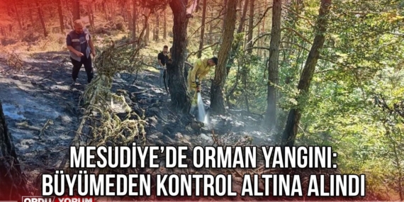 Mesudiye’de Orman Yangını: Büyümeden Kontrol Altına Alındı