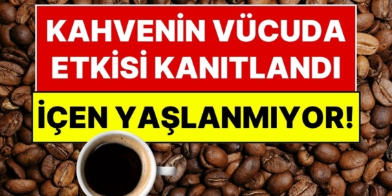 Sabah Kahveniz Boşuna Değil: Kafein Hücresel Yaşlanmayı Yavaşlatan 500 Milyon Yıllık Şalteri Açıyor